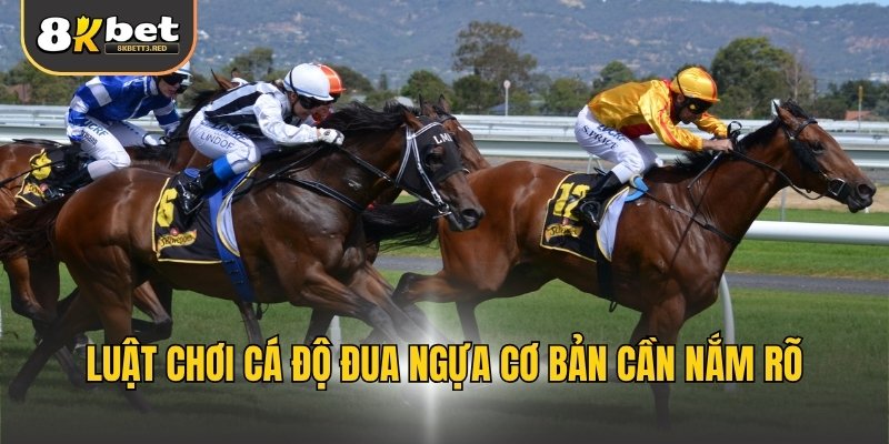 Luật chơi cá độ đua ngựa cơ bản cần nắm rõ